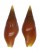 MITRIDAE MITRA SARMIENTOI shell