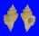 MURICIDAE FAVARTIA LEVICULA shell