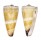 CONIDAE CONUS THALASSIARCHUS shell