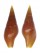 MITRIDAE MITRA SARMIENTOI shell