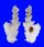 MURICIDAE PTERYNOTUS ELONGATUS shell