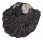 OSTREIDAE ALECTRYONELLA PLICATULA shell