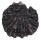 OSTREIDAE ALECTRYONELLA PLICATULA shell