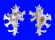 MURICIDAE HOMALOCANTHA ZAMBOI shell