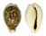 CYPRAEIDAE CYPRAEA DANI shell