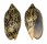 VOLUTIDAE CYMBIOLA VESPERTILIO shell