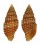 MITRIDAE PUSIA CROCATUM shell
