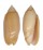OLIVIDAE OLIVA ANNULATA CARNICOLOR shell