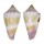 CONIDAE CONUS FLORIDULUS shell