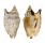 STROMBIDAE STROMBUS ARATRUM shell