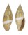MITRIDAE MITRA VARIABILIS shell