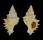 MURICIDAE MURICOPSIS ARMATUS shell