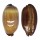 CYPRAEIDAE TALPARIA TALPA shell