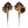 MURICIDAE HAUSTELLUM HAUSTELLUM shell