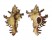 MURICIDAE CHICOREUS cf. BANKSII shell