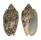 VOLUTIDAE CYMBIOLA VESPERTILIO shell