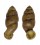 LANDSNAIL PERLISIA TWEEDIEI shell