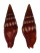 MITRIDAE VEXILLUM CORALLINUM shell