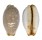 CYPRAEIDAE STAPHYLEA LIMACINA shell