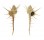 MURICIDAE MUREX TENUIROSTRUM shell