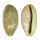 CYPRAEIDAE TALOSTOLIDA PELLUCENS PELLUCENS shell