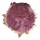 SPONDYLIDAE SPONDYLUS VARIANS shell
