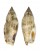 STROMBIDAE STROMBUS TEREBELLATUS shell