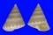 CALLIOSTOMATIDAE CALLIOSTOMA MONILE shell