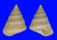 CALLIOSTOMATIDAE CALLIOSTOMA MONILE shell