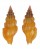 TURRIDAE LIENARDIA ROSEOTINCTA shell
