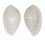 OVULIDAE PRIONOVOLVA NIVEA shell
