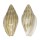 MARGINELLIDAE MARGINELLA CLERYI shell