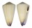 CONIDAE CONUS VIRGO shell