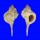 MURICIDAE VOKESIMUREX CHRYSOSTOMA shell