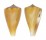 CONIDAE CONUS SAZANKA shell