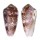 CONIDAE CONUS FLOCCATUS shell