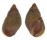 LITTORINIDAE PLANAXIS OBSOLETUS shell