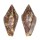 COLUMBELLIDAE PARAMETARIA DUPONTII shell