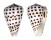 CONIDAE CONUS EBURNEUS shell