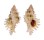 MURICIDAE CHICOREUS DODONGI shell