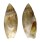 OLIVIDAE OLIVELLA FLETCHERAE shell