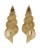 TURRIDAE TRITONOTURRIS AMABILE shell