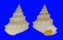 TROCHIDAE LISCHKEIA UNDOSA shell
