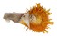 SPONDYLIDAE SPONDYLUS VARIEGATUS BARBATUS shell