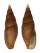 MITRIDAE MITRA GLABRA shell
