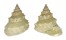 TROCHIDAE LISCHKEIA UNDOSA shell