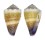 CONIDAE CONUS MURICULATUS shell