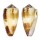 CONIDAE CONUS FERRUGINEUS SOPHIAE shell