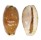 CYPRAEIDAE EROSARIA LABROLINEATA MELANICA shell