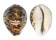 CYPRAEIDAE CYPRAEA TIGRIS shell